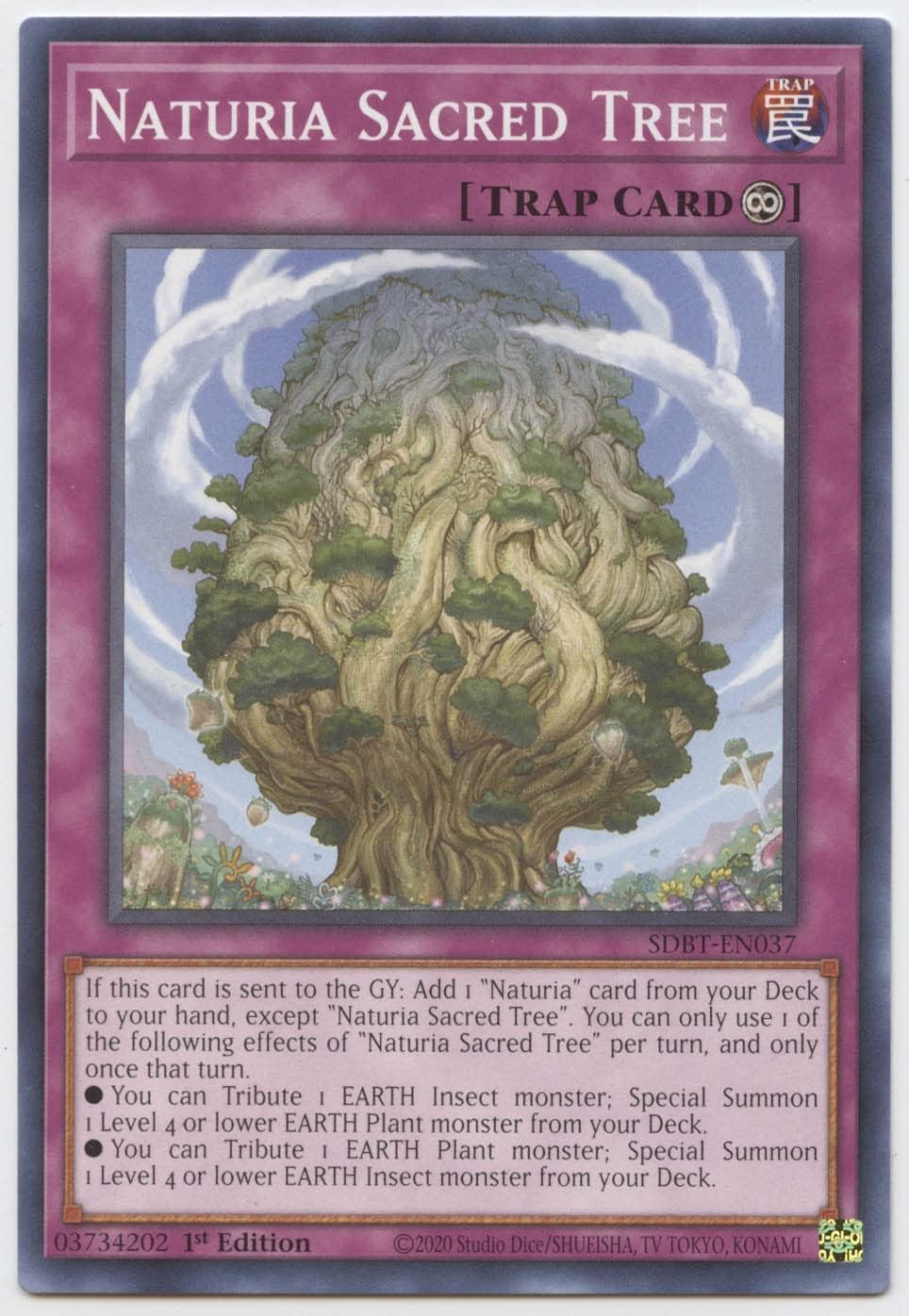 Naturia Sacred Tree - SDBT-EN037 - Common - 1st Edition